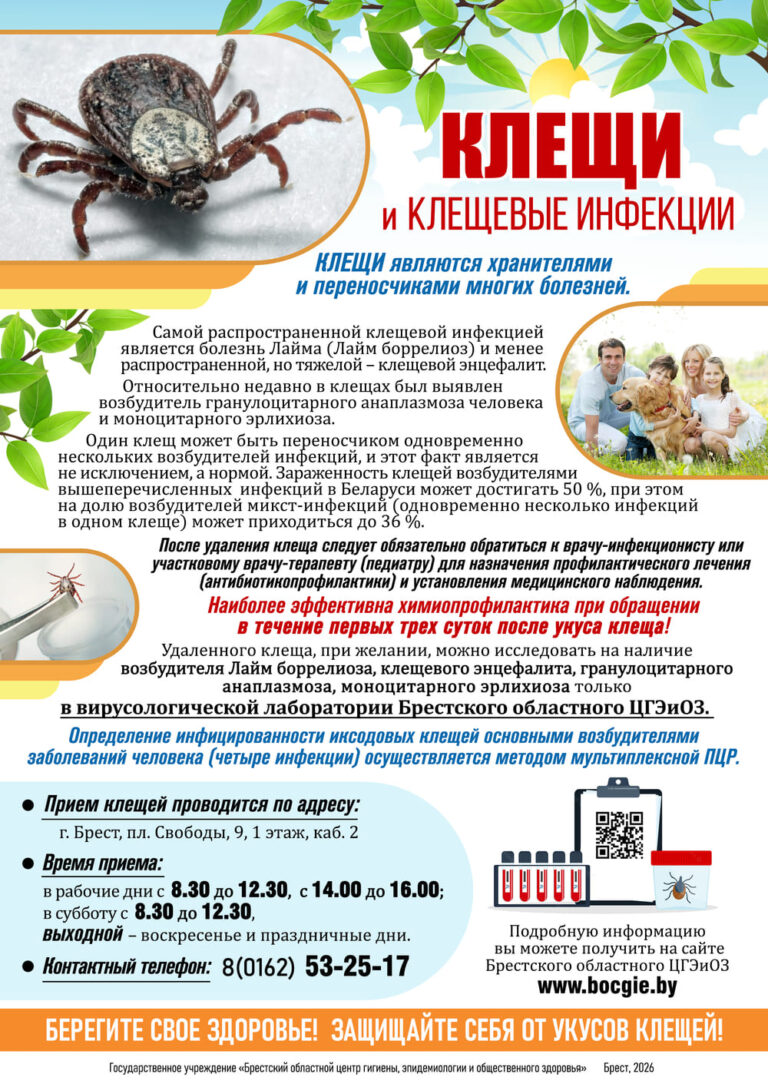 Клещи